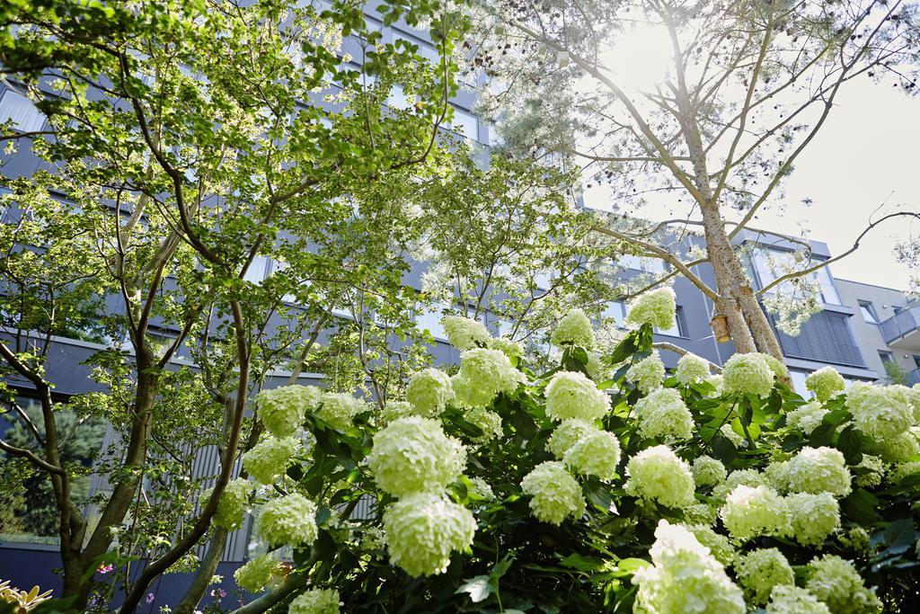 Savoy Hotel Κολωνία Εξωτερικό φωτογραφία